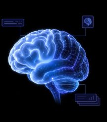 RoboBrain Pro 算法视觉示意